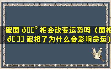 破面 🌲 相会改变运势吗（面相 💐 破相了为什么会影响命运）